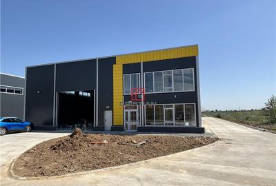 Depozit/hala/spatiu industrial Theodor Pallady - Drumul Int - 2