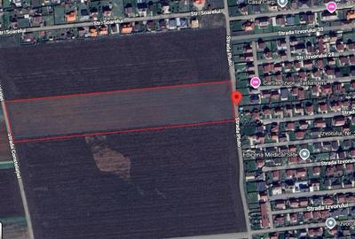 Terenuri de vanzare Tarlungeni, Izvor | 500 mp | 0% Comision - 9