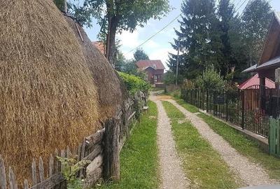 Teren de 1700 mp, în Pietroșița - 2
