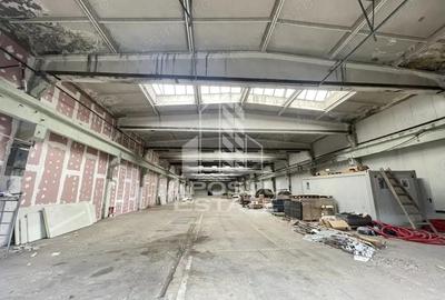 Hala depozitare, productie 1400 mp , platforma industriala, Buziasului - 1