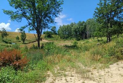 Teren Intravilan in zona Trei Ape, 6889 Mp., 14,5 Euro/Mp., - 7