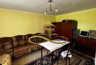 Casa batraneasca cu 2ha de teren de vanzare in sat Balaia / Bacau - 19