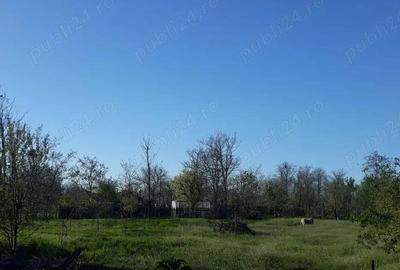 Casă cu 4 camere cu Teren 2400 Mp în Central - 3