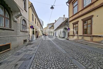 Apartament complet renovat 2 camere garaj acces auto Centru Istoric - 6