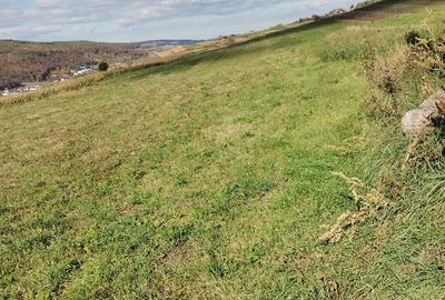 Teren Construcții extravilan de 4600 mp, în Popești - 1