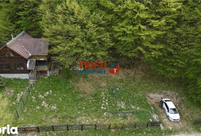 Casă cu 4 camere cu Teren 891 Mp în Ighiu - 6