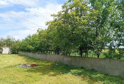 Casă cu 2 camere cu Teren 3500 Mp în Central - 2