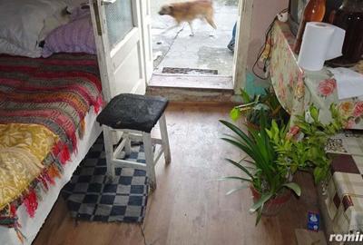 Vand casa curte si gradina in Branisca (la 15 Km de Municipiul Deva), suprafata de teren 2245 mp - 5