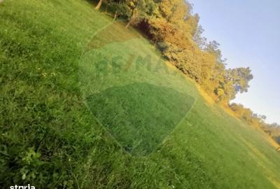 Spațiu comercial, în Breb - 6