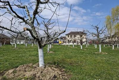 Teren de 2000 mp, în Răucești - 1