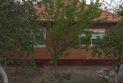 Casa vanzare seleus - 2