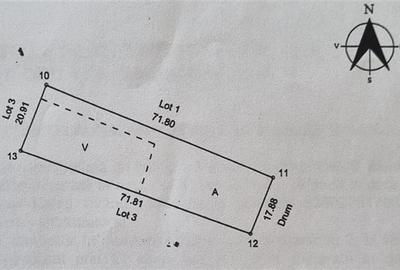 Teren TOP 1400mp /18ml stradal  Vanatori (Odaia Manolache) - 2