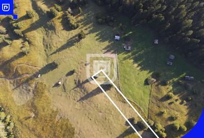 Teren Construcții extravilan de 3197 mp, în Vest - 4