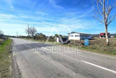 Teren intravilan strada Narciselor - 3