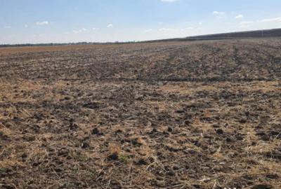 Teren de 7802 mp, în Domnești