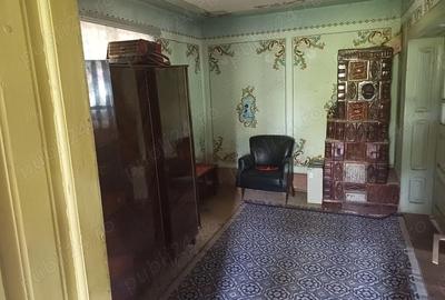 Casă cu 4 camere cu Teren 9000 Mp în Cotmeana - 1
