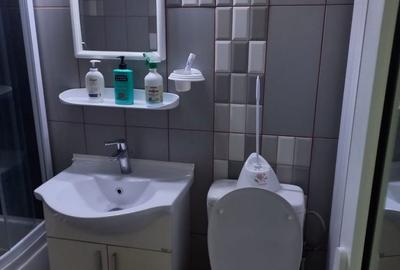 Garsonieră decomandată în Exterior Vest - 2