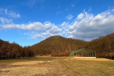 De vanzare Proprietate Unica In Maramures la 20km de Baia... - 1