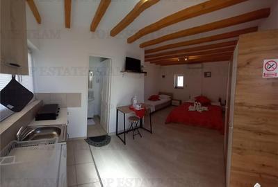 VILA TURISTICA SUPERBA COSTINESTI - 6