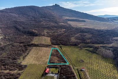Teren intravilan în Șiria pe deal - 1