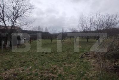 Teren de 1700 mp, în Central - 3