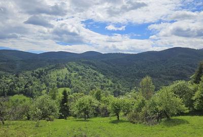 Teren de 5800 mp, în Avram Iancu - 2