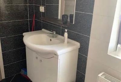 Apartament cu 2 camere semidecomandat, mobilat în Palazu Mare - 6