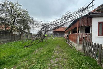Casă cu 2 camere cu Teren 1850 Mp în Dobârlău - 3