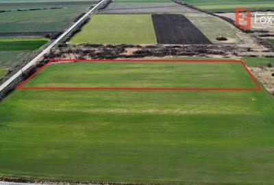 Teren de 25000 mp, în Est - 8