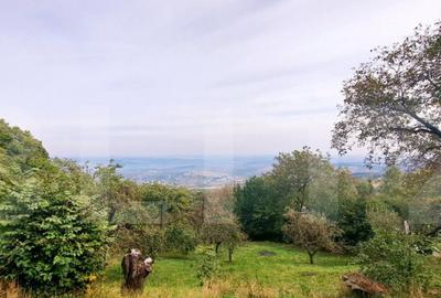 Teren de 1710 mp, în Feleacu