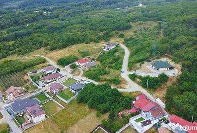 Teren de 941 mp, în Bujoreni - 4