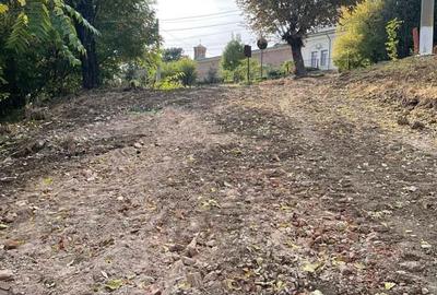 Oportunitate investi?ie Manastirea Dealu - 4