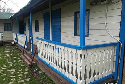 Casă cu 11 camere cu Teren 2200 Mp în Crișan - 15