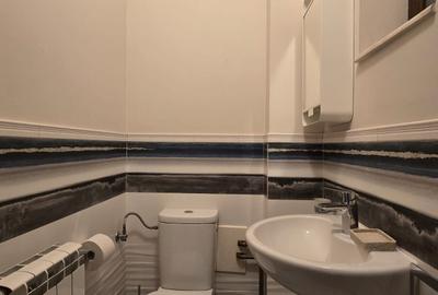 Casă individuală cu 18 camere cu Canalizare în Kiseleff - 8