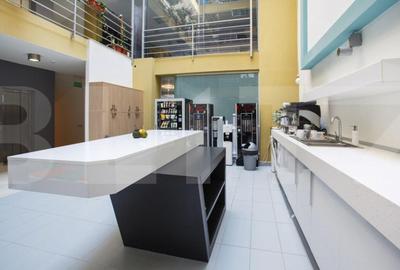 Spațiu comercial, de 1,450 mp, în Ultracentral - 14