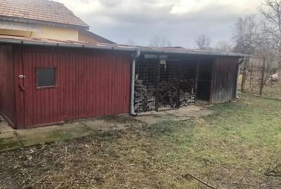 Casa  cu imbunatatiri, curte + livada Drajna de Jos / Prahova! - 6