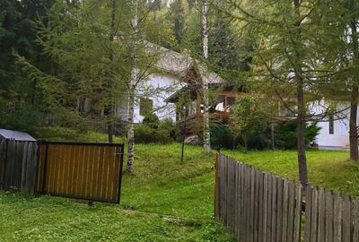 Casă cu 3 camere în Pojorâta - 10