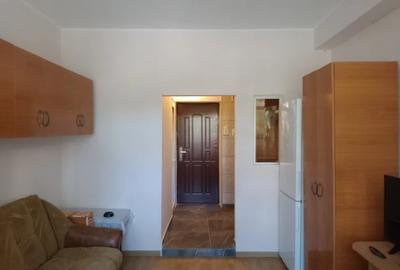 Garsonieră semidecomandată, mobilată în Nicolina - 2