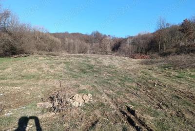 Vand 5000 mp teren intravilan, Curtea de Arges, iesire spre Valcea - 1