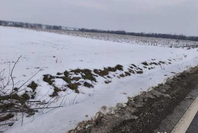 Teren de 6000 mp, în Horodnic