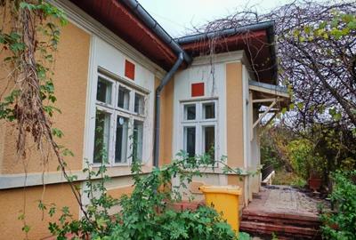 Casa locuibila cu 3 camere, 1700 mp teren deschidere 30 m, DOMNESTI - 7