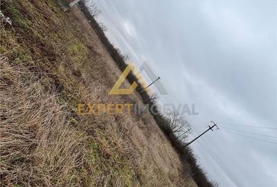 Teren de 968 mp, în Recea - 1