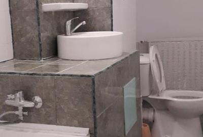 Apartament de inchiriat Victoriei ultracentral birou firma - 4