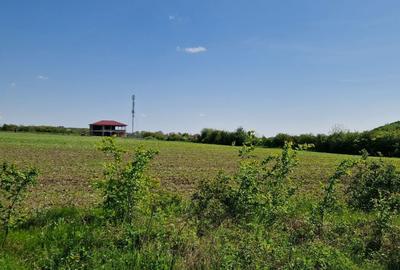 Spațiu comercial, în Cozieni - 2