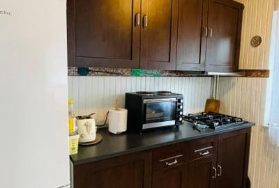 APARTAMENT 2 CAMERE | MOBILAT | ZONA DACIA | CITY PARK MALL - 10
