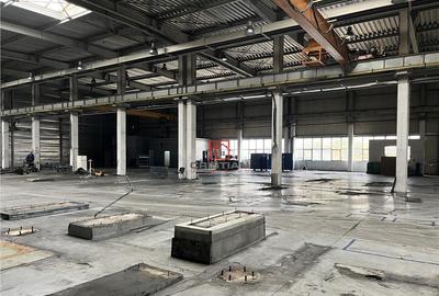 Depozit/hala/spatiu industrial Militari - Timisoara - 8