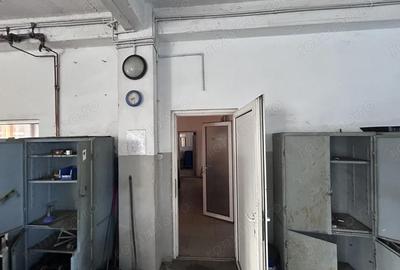 Spațiu comercial, de 960 mp, în Micălaca - 12