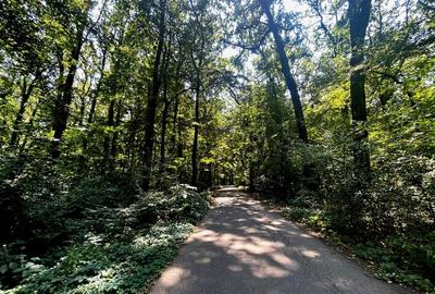 Teren intravilan de 4003 mp, în Snagov - 6