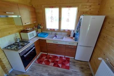 Casă individuală cu 3 camere cu Canalizare în Ciclova Română - 14