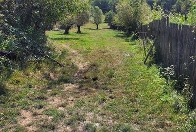 Teren de 1400 mp, în Săvârșin - 5